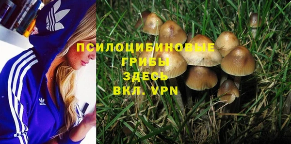 спиды Алексеевка