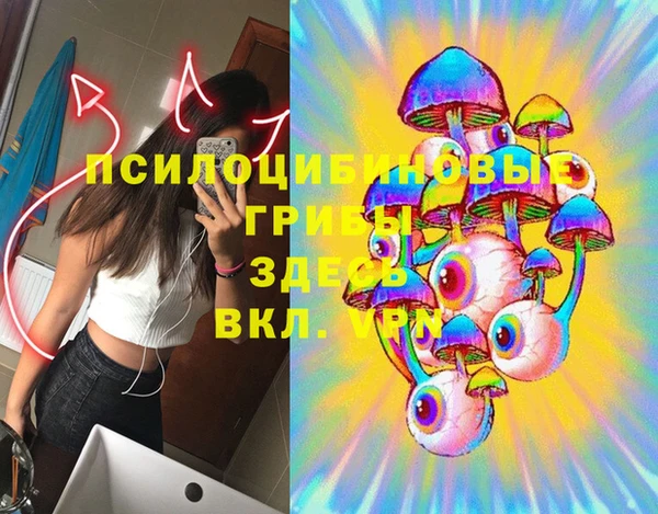 спиды Алексеевка