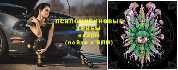 трава Абдулино