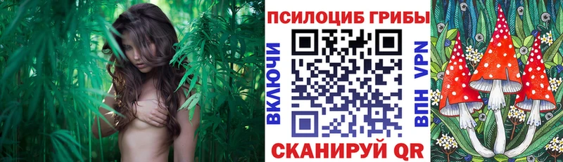 гидра ONION мориарти наркотические препараты Псилоцибиновые грибы GOLDEN TEACHER Тимашёвск