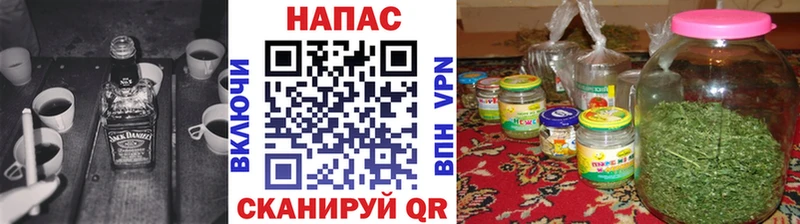 Конопля MAZAR Тимашёвск